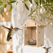 Nistkasten vitrine Holz