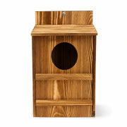 Nistkasten Beobachtung Holz — Foto 2