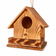 Nistkasten Beobachtungskasten aus Holz rot, Maße 17,2 × 17,2 × 17,2 cm — Foto 3
