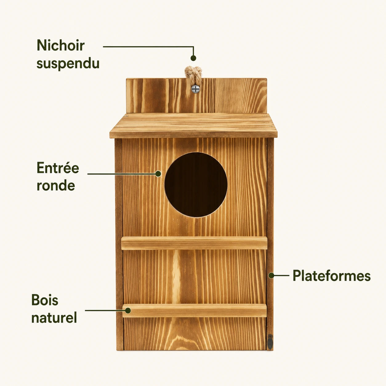 Nistkasten Beobachtung Holz — Foto 3
