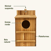 Nistkasten Beobachtung Holz — Foto 3